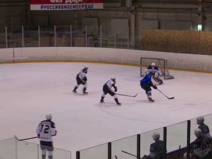 Хоккей. Заблудились в трех соснах