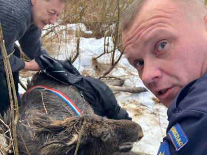 Работники 215-й пожарно-спасательной части ГКУ МО 