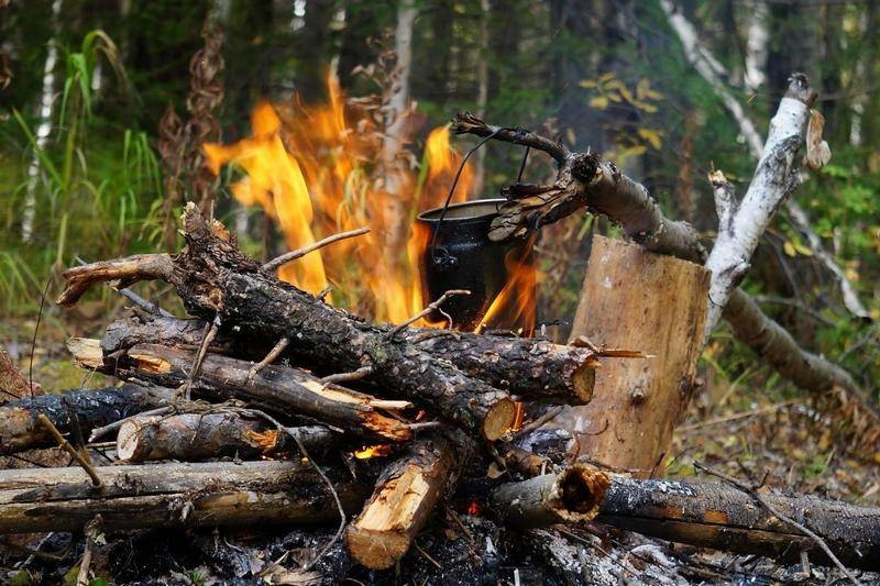 Оштрафовали в лесу. Костер в лесу пожар. Неосторожное обращение с огнем в лесу. Розжиг костра в лесу. Пожар в лесу от костра.