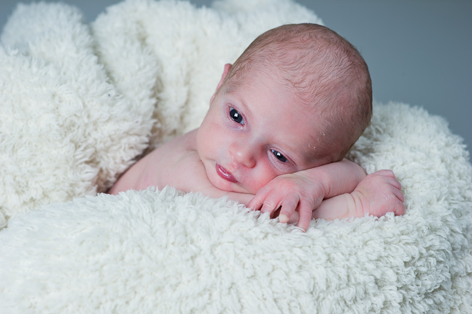 Jay: Newborn Session — photo 4