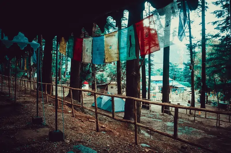 McLeodGanj Triund Trek – 3