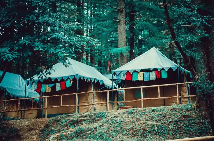 McLeodGanj Triund Trek – 4