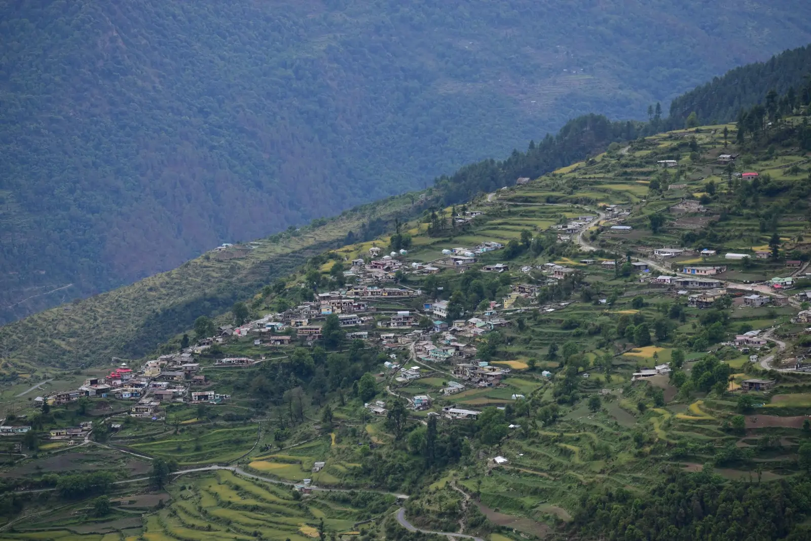 photo-3