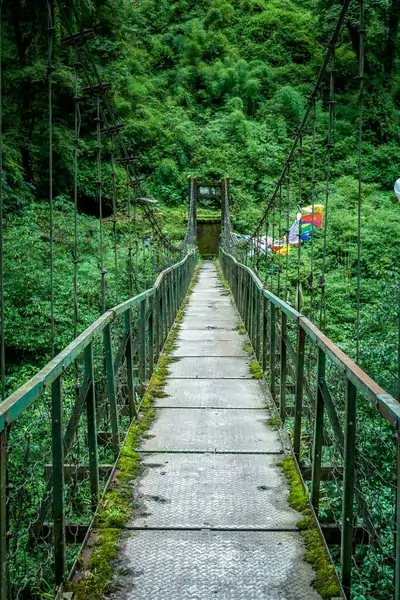 Goechala Trek – 2