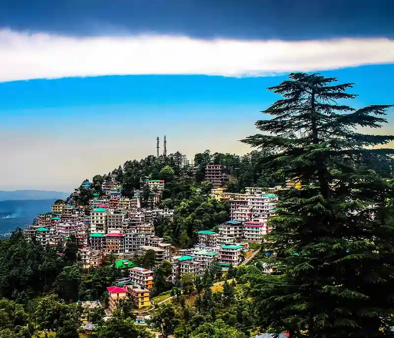 Mcleodganj Triund Trek From Delhi – 4