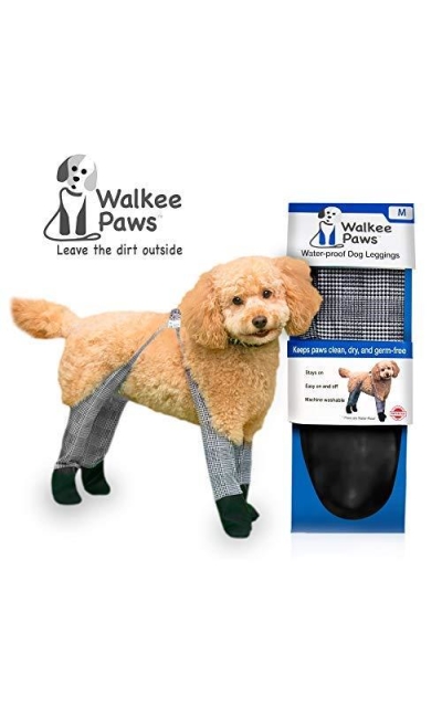 poodle paws gear