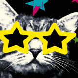 Instructor Profile Picture