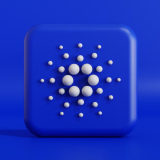 Instructor Profile Picture