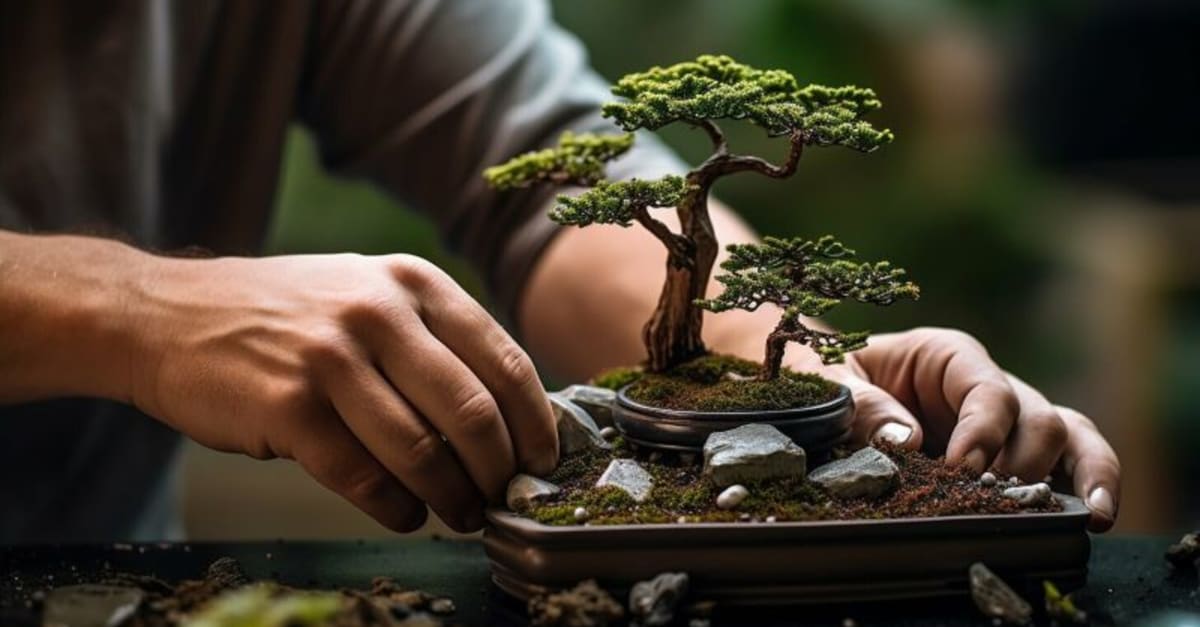 Beginners Guide To Bonsai by Loot Goblin on work.courses  3