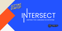 Intersect MBO: A Beginner's Guide to Cardano's Game-Changing Network