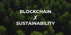 Blockchain & Sustainability 