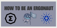 HOW TO BE AN ERGONAUT (ERGO)