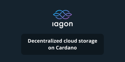 How to use decentralized cloud storage on Cardano