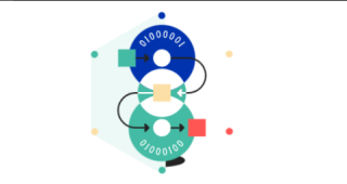 Discover Native Tokens