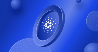 Cardano Developer Resources