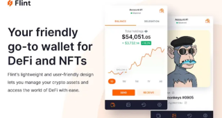 How To Set Up A Flint Wallet