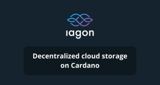 How to use decentralized cloud storage on Cardano
