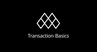 Transaction Basics