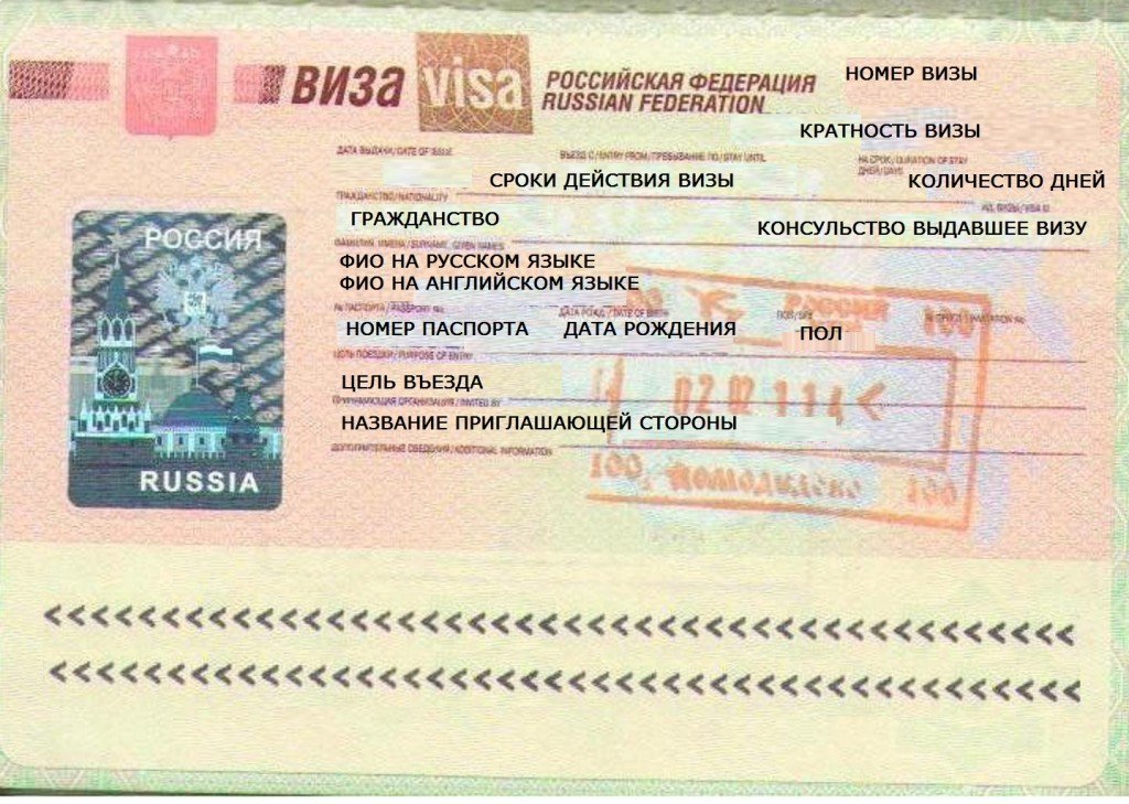В течение какого срока должна быть использована гостевая вида для иностранцев