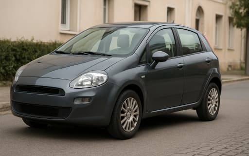 Koopadvies Fiat Punto Evo