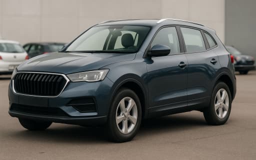 Koopadvies Borgward Others