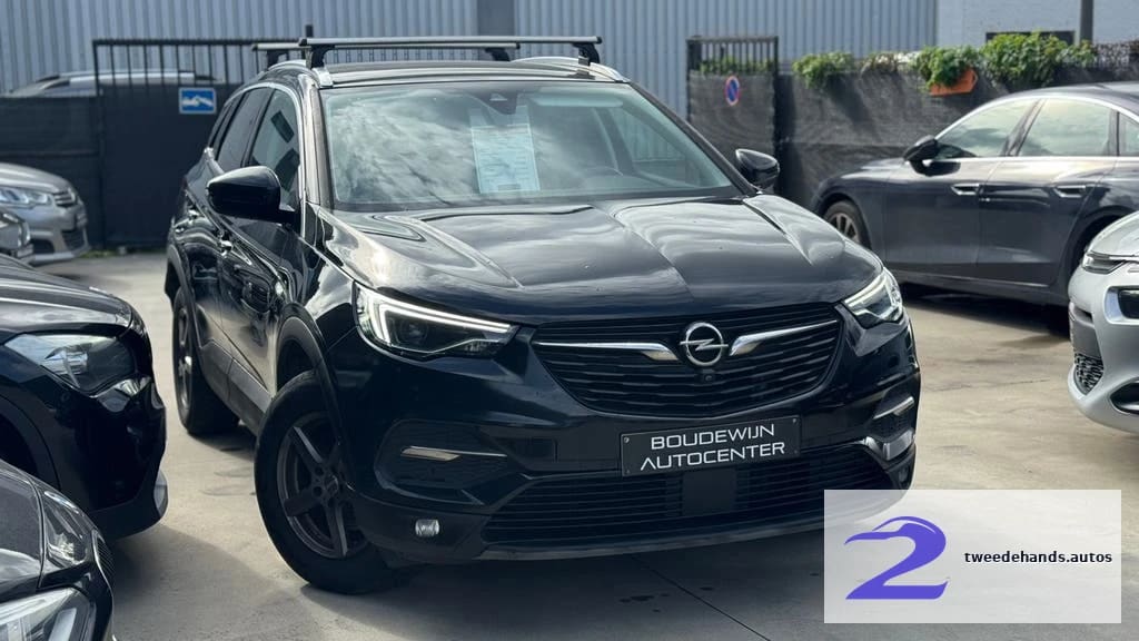 Opel Grandland X 2019 Topstaat Benzine 139.xxxkm Full Optie