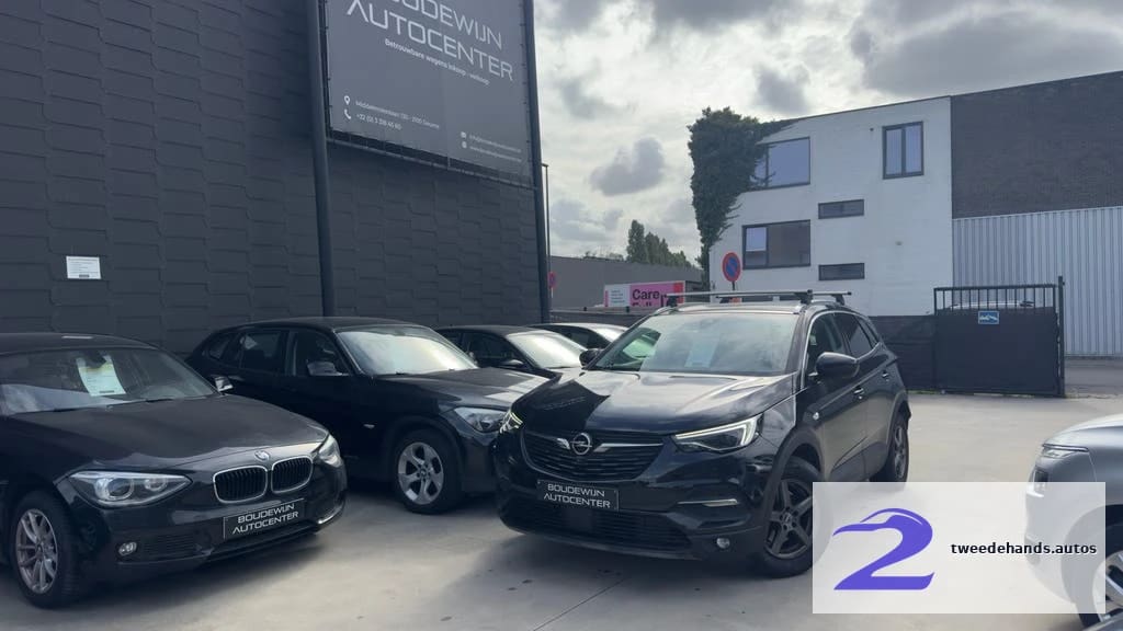 Opel Grandland X 2019 Topstaat Benzine 139.xxxkm Full Optie