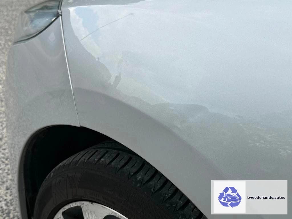 Renault Megane 1.2tce automatische Bose-editie
