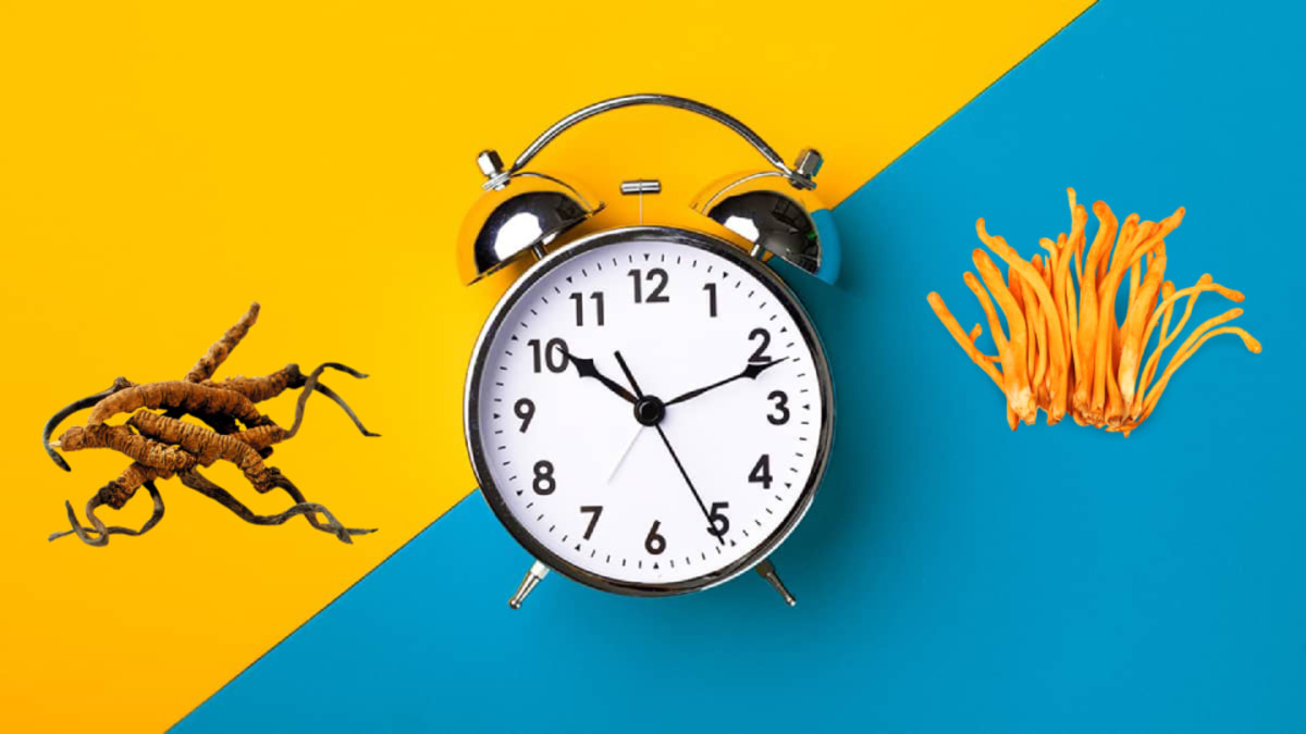 Best Time to Take Cordyceps for Energy and Exercise