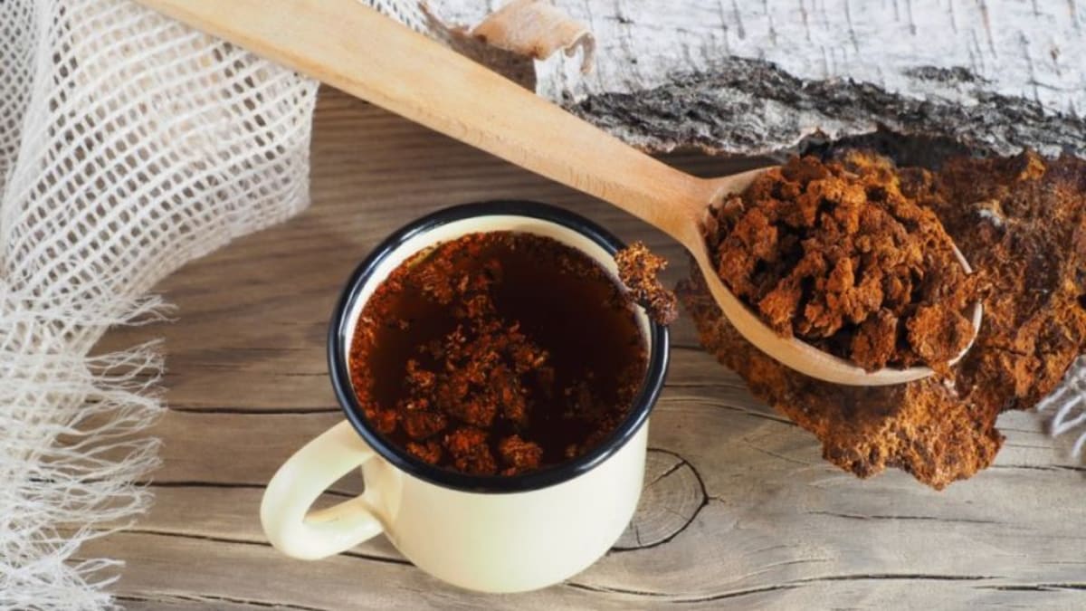 Chaga Coffee Health Benefits and Brewing Guide