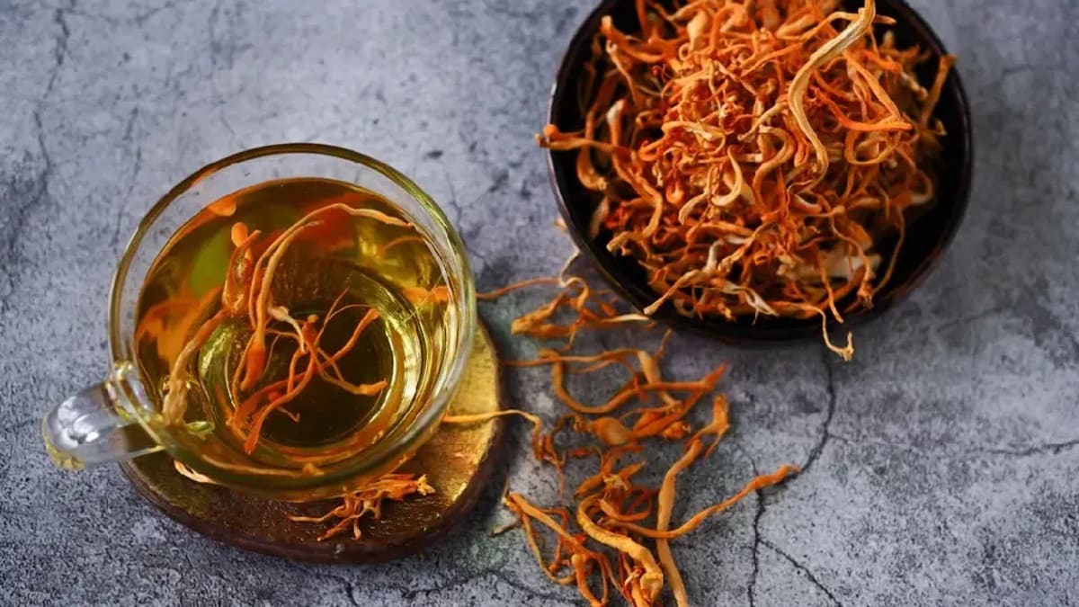 How to Make Cordyceps Tea for Energy and Endurance