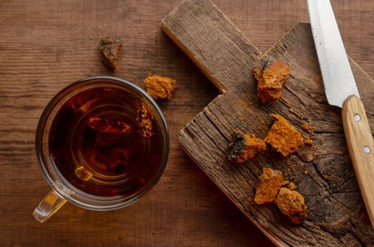 Brewed chaga tea in a mug beside raw chaga chunks on a wooden surface