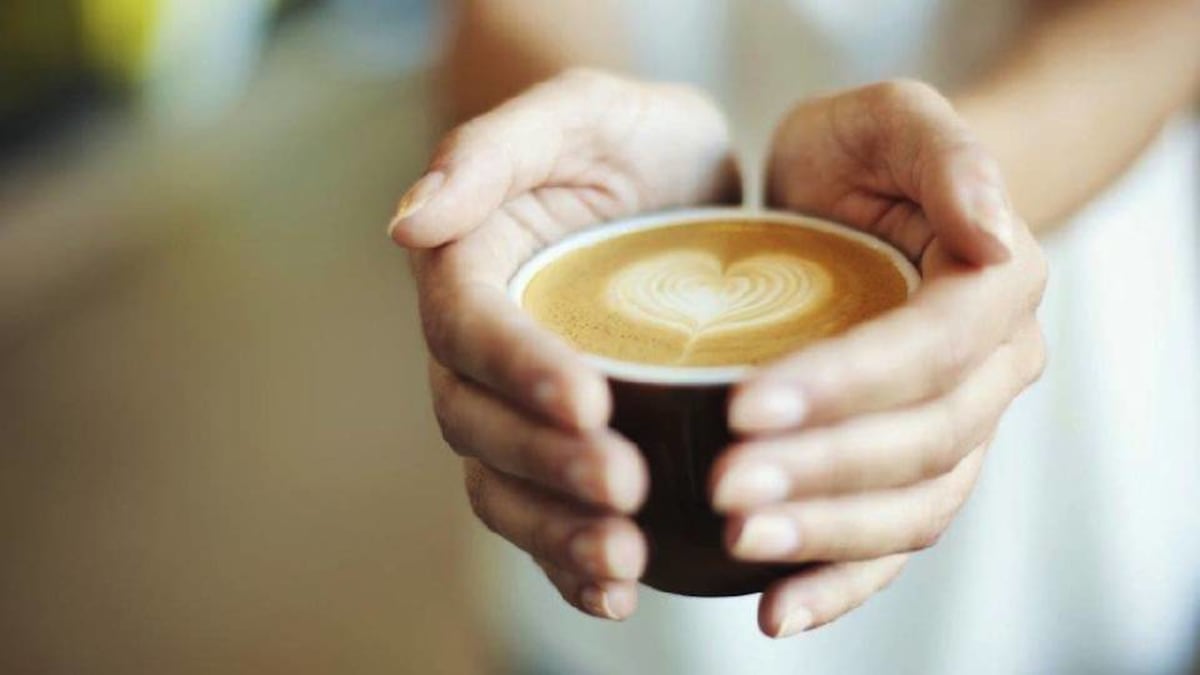 Does Mushroom Coffee Help You Lose Weight?