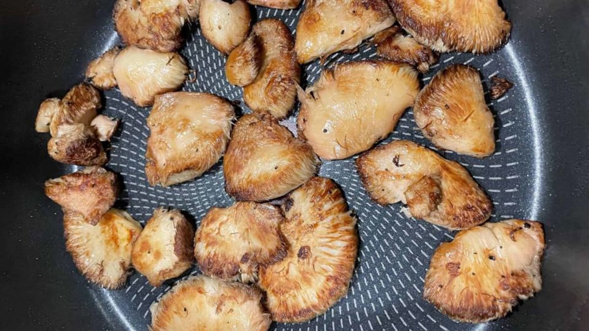 Pan-fried lion's mane mushroom slices browning in a cast iron skillet