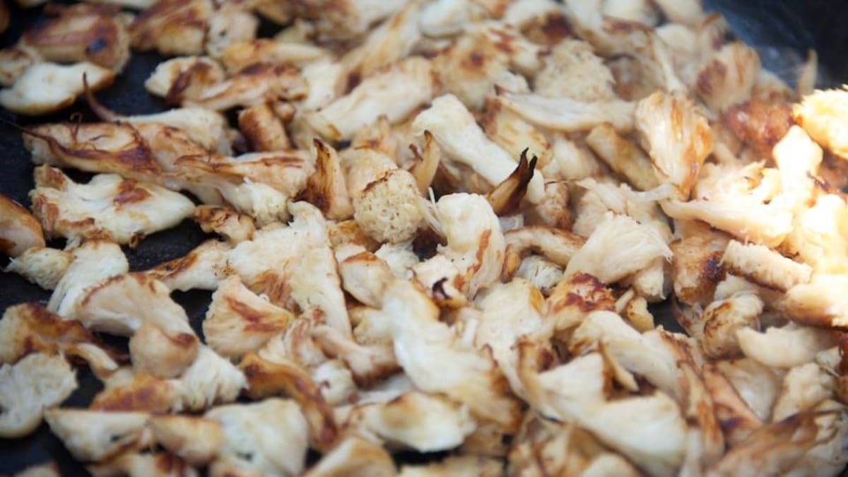 Roasted lion's mane pieces on a parchment-lined baking sheet, golden and crispy at the edges