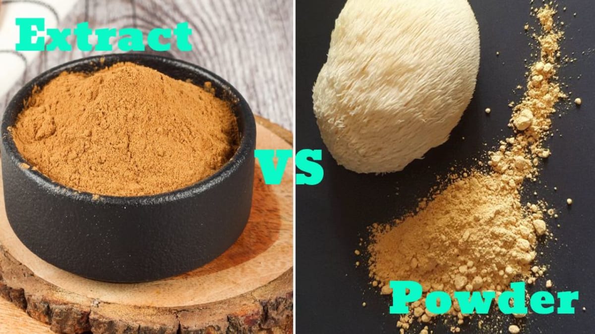 Side by side comparison of lion's mane extract powder versus regular dried powder