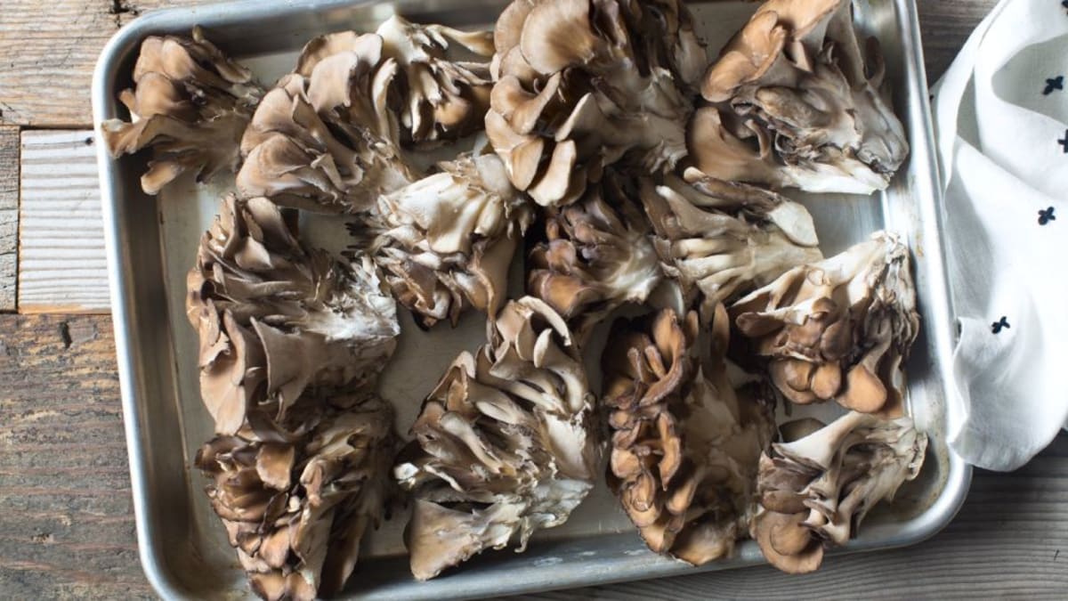 How to Cook Maitake Mushrooms