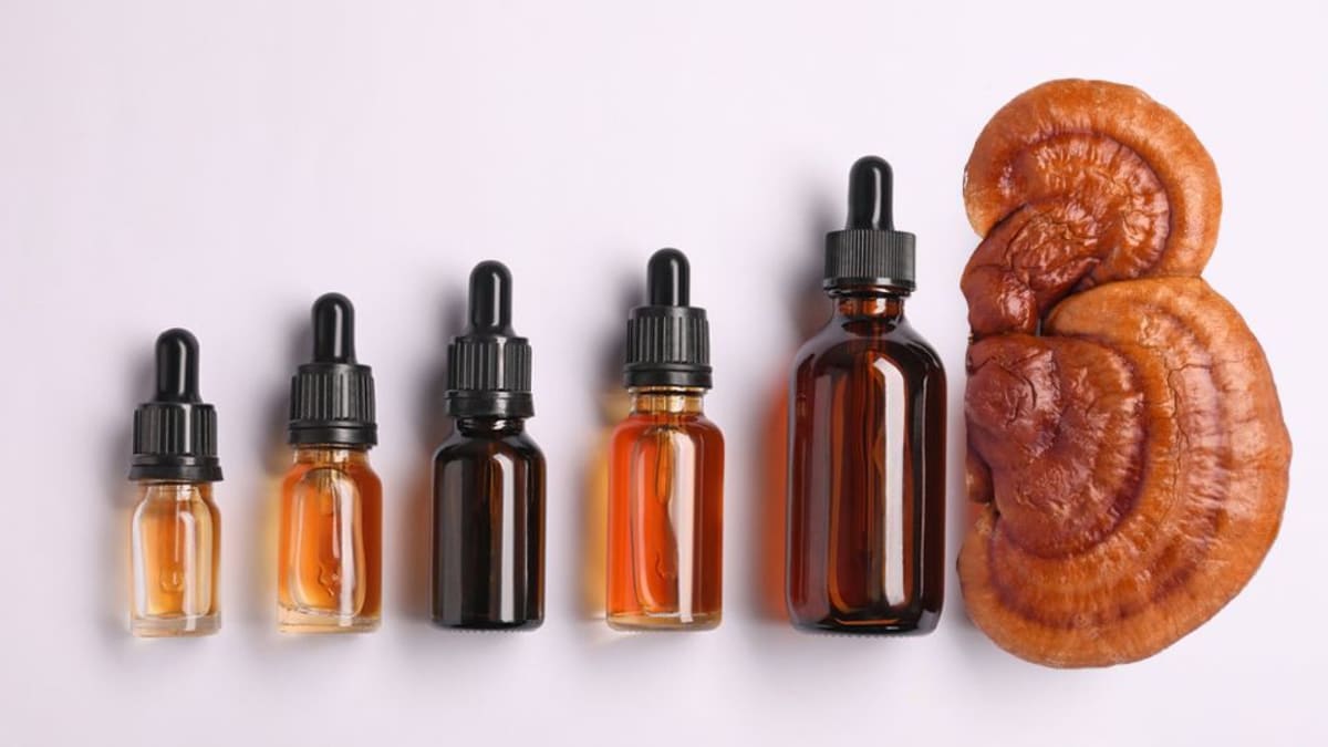 How to Make a Dual-Extracted Reishi Mushroom Tincture