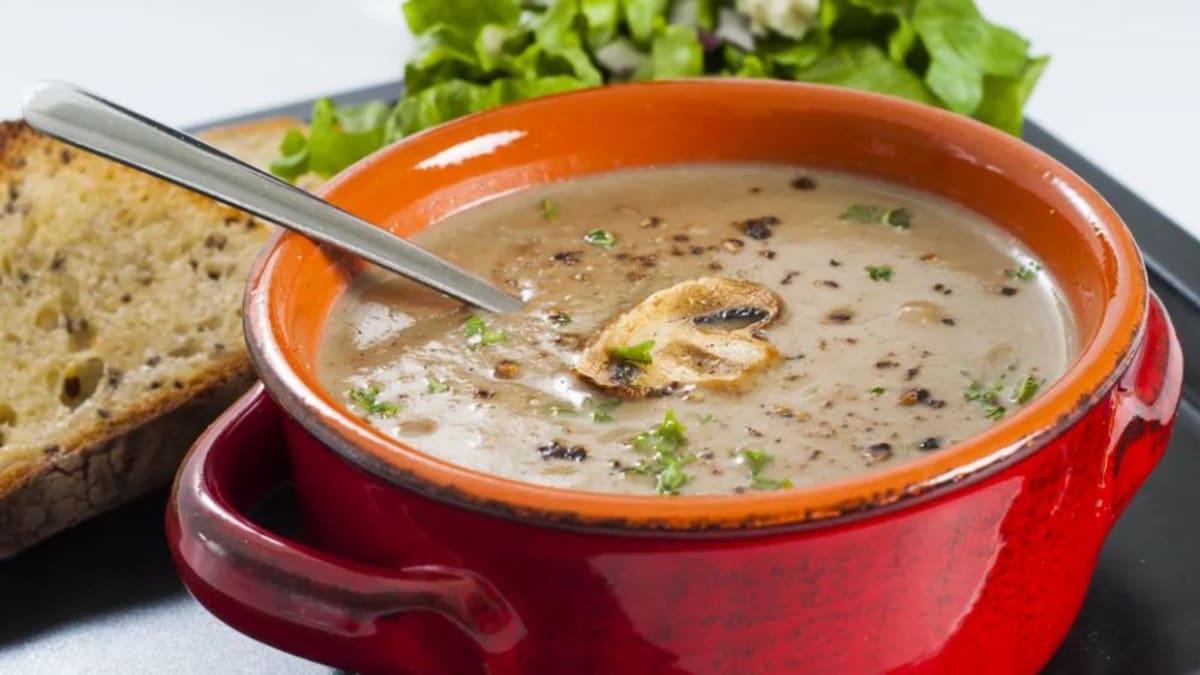 Turkey tail mushroom soup made with hot water extraction broth