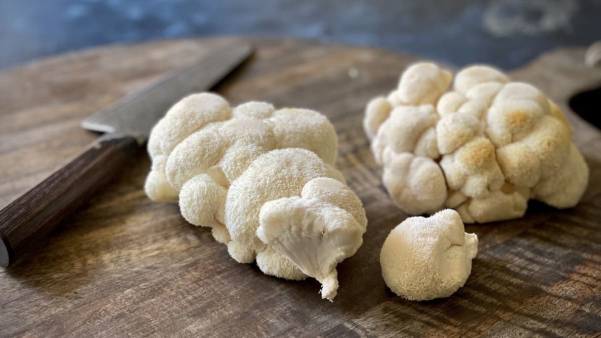 Fresh lion's mane mushrooms on a cutting board with a knife