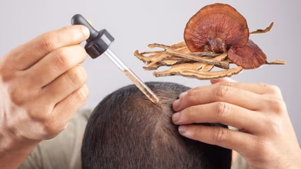 Reishi mushroom benefits for hair may not work how you think