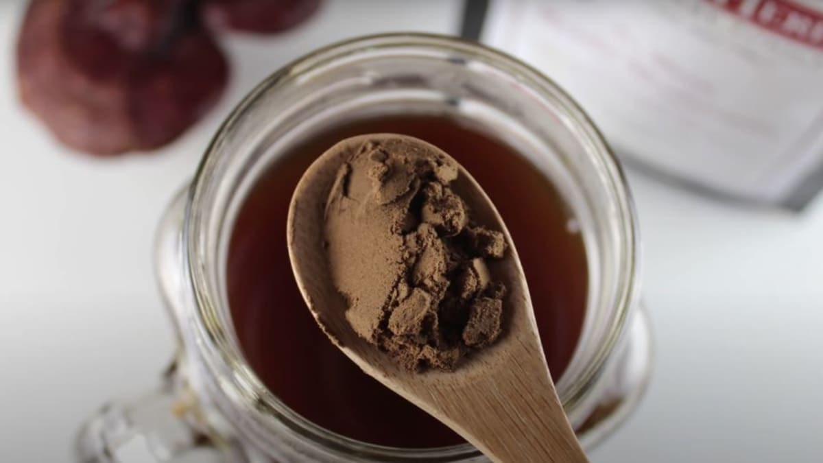 Reishi mushroom products including capsules, powder, and dried slices