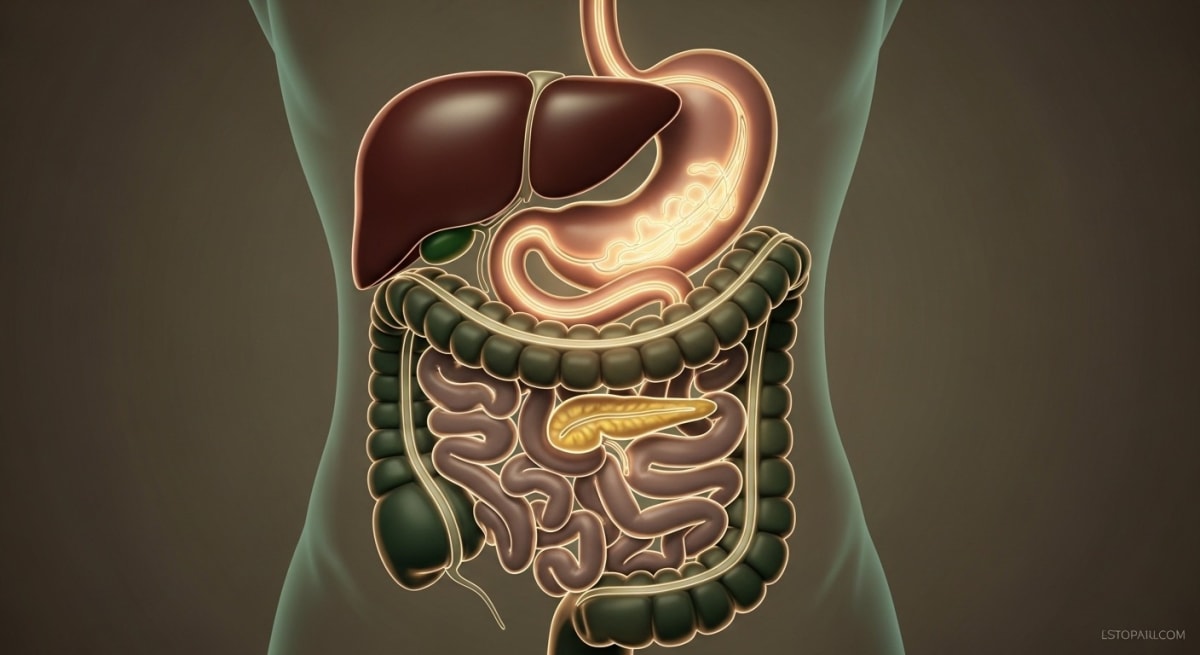 Turkey tail mushroom growing on a log in the forest, showing distinctive colorful fan-shaped brackets