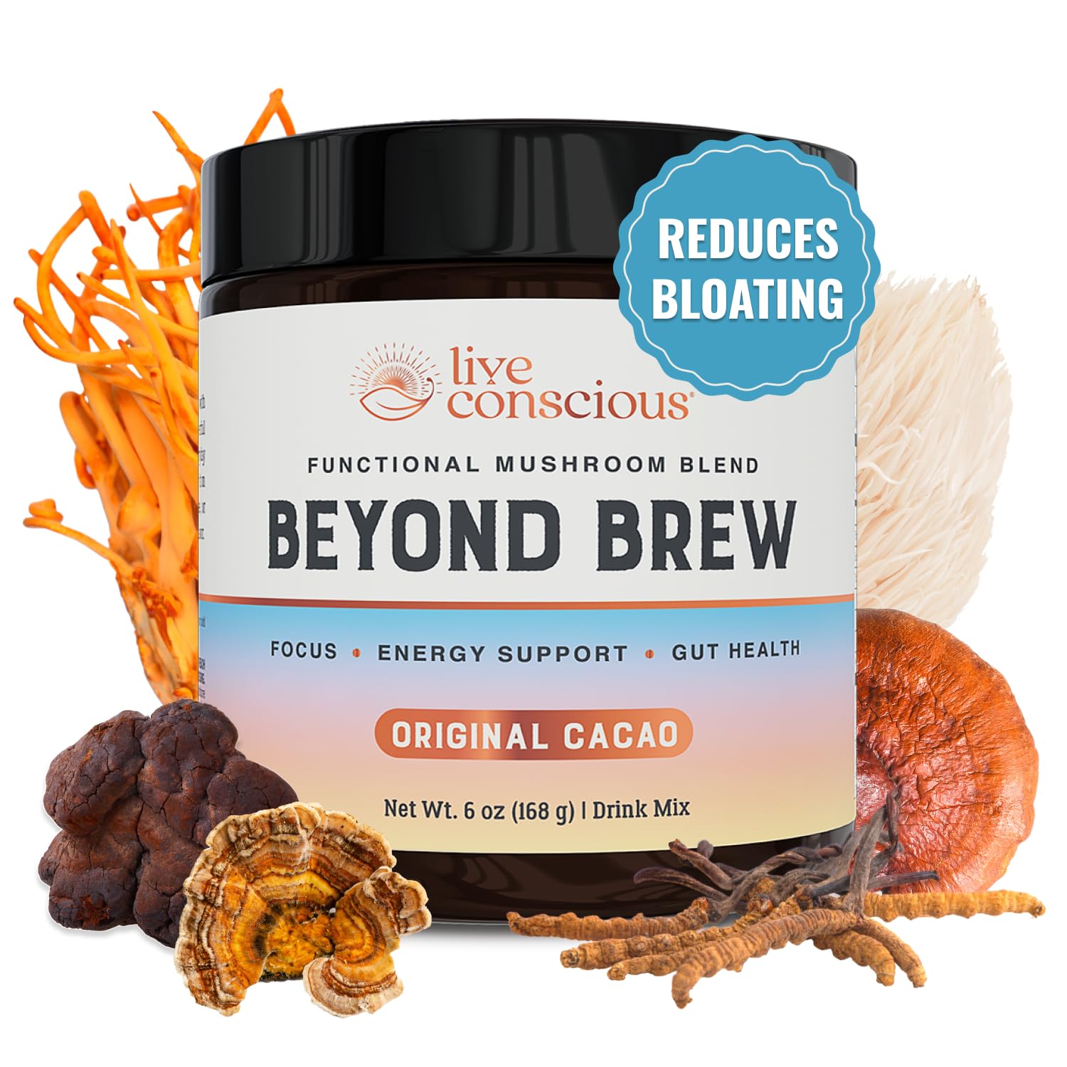 Live Conscious Beyond Brew