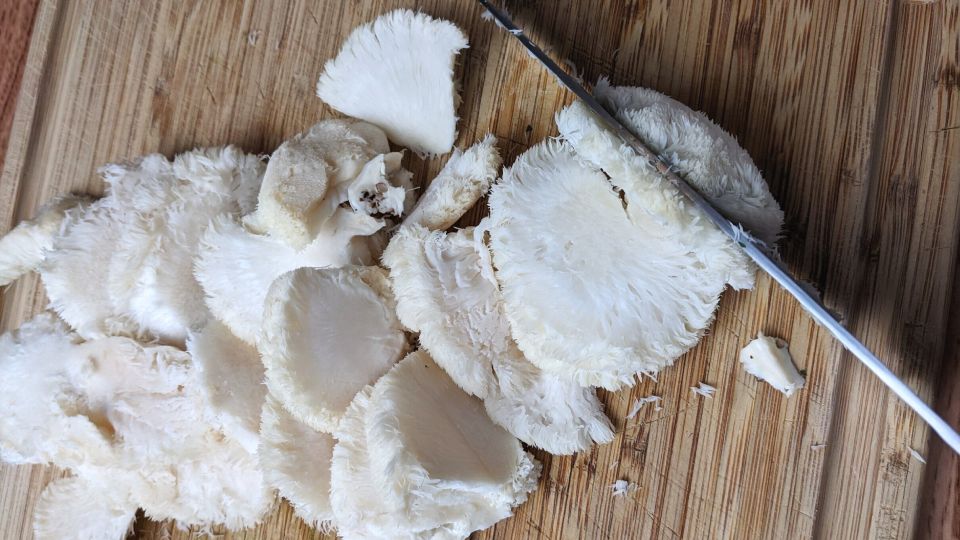 Fresh lion's mane mushroom cut into slices