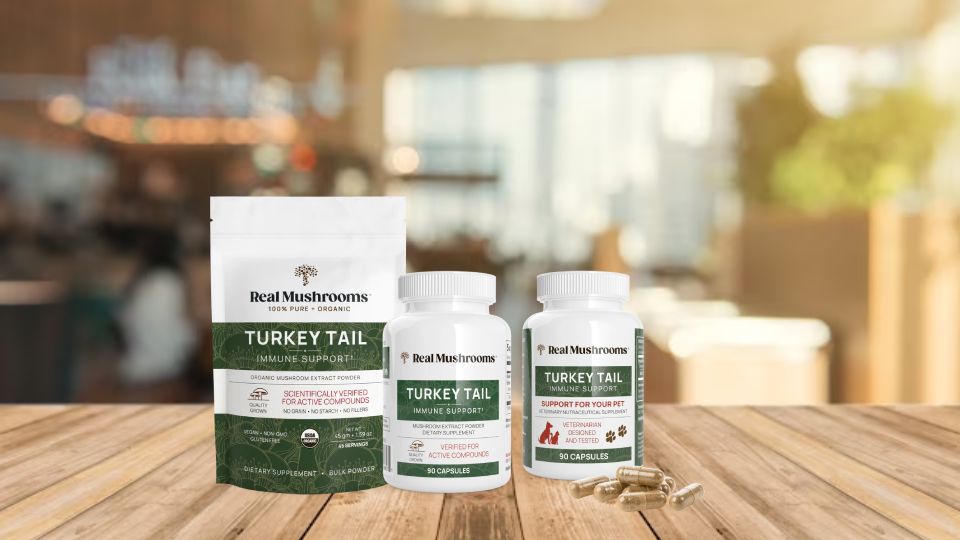 Real Mushrooms Turkey Tail Review - Lab Verified Results