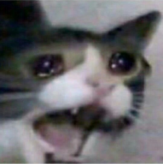 I ran out of money

my cat: