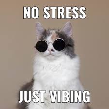 I wish this is me everyday #memes