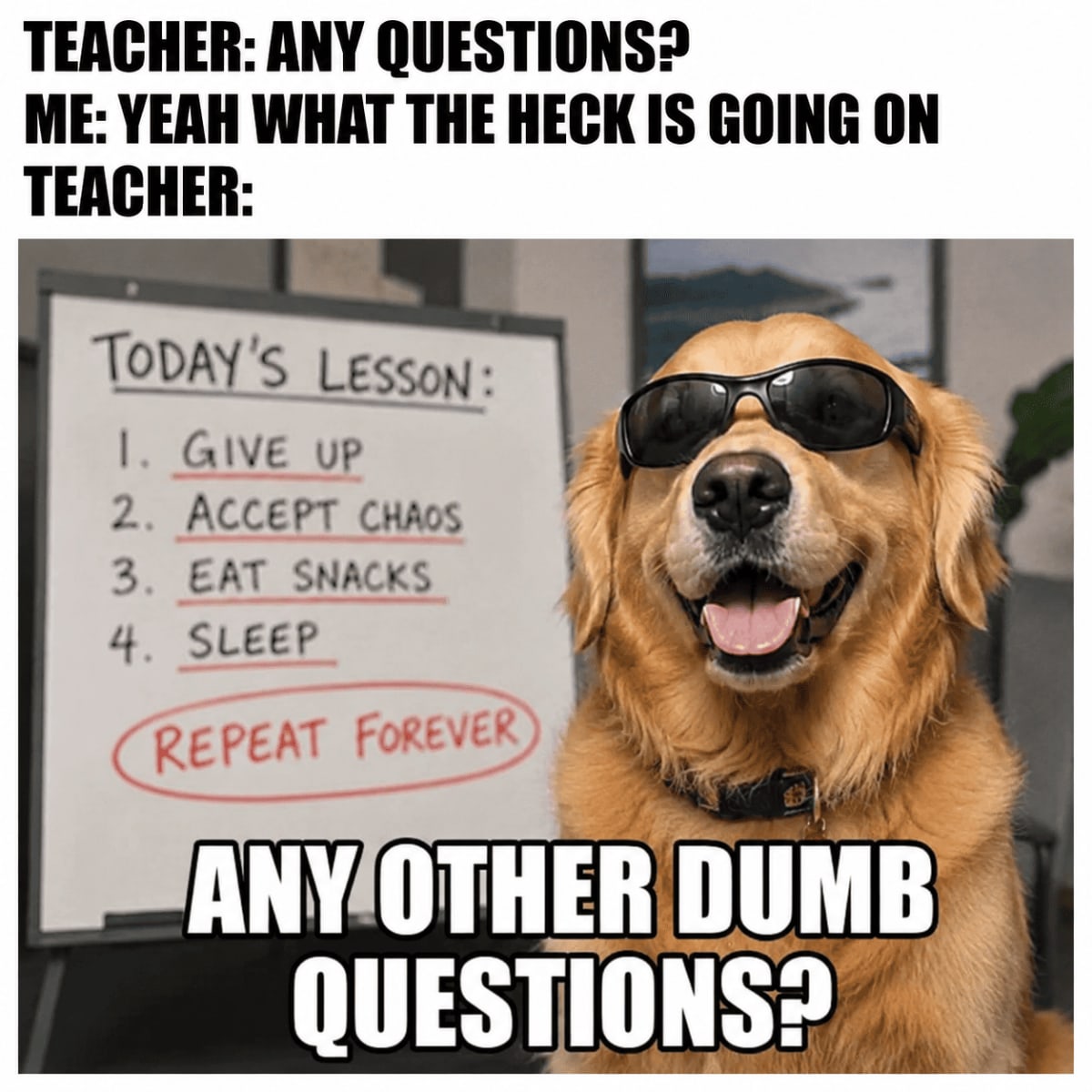 #memes #schoolmemes