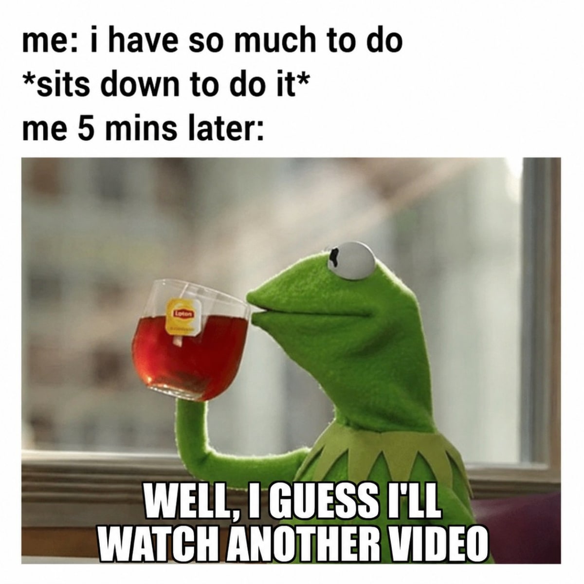 So real

#memes #real #funny #jokes